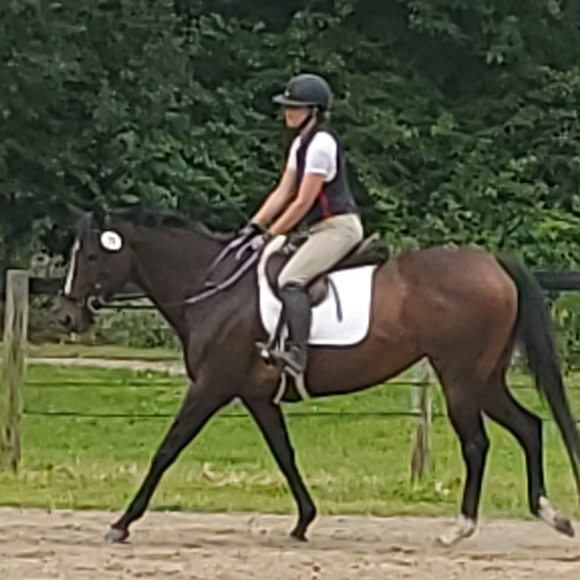 Meet your Posher, Ramona - Picture 2 of 6